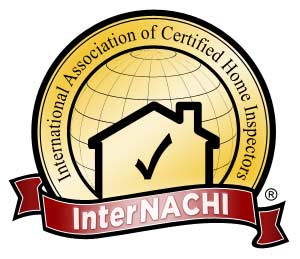 Nachi logo